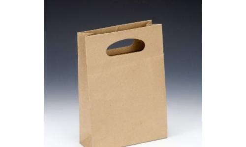 Die Cut Paper Carry Bag